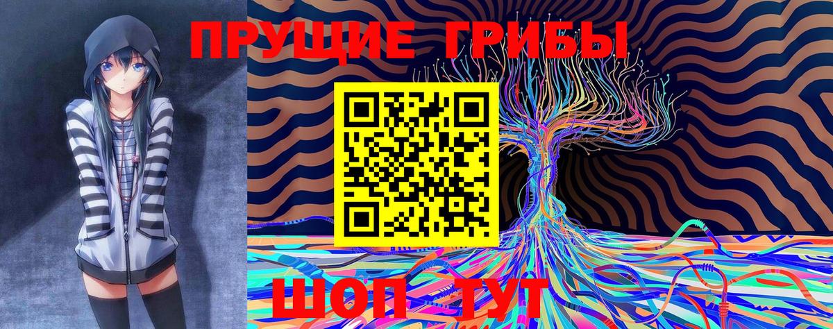 Псилоцибиновые грибы прущие грибы  Вход с VPN  Бахчисарай 